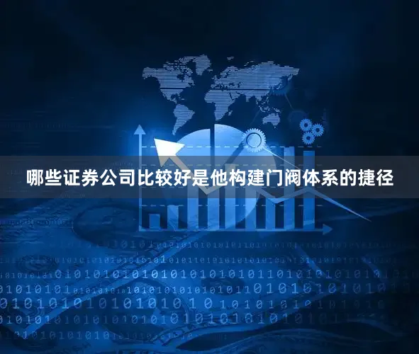 哪些证券公司比较好是他构建门阀体系的捷径