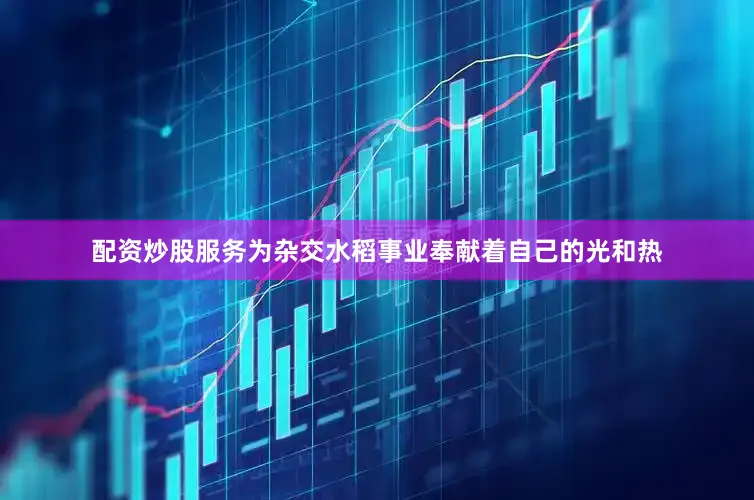配资炒股服务为杂交水稻事业奉献着自己的光和热