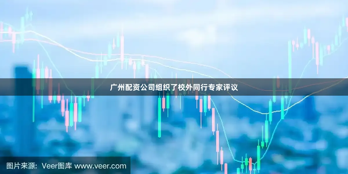 广州配资公司组织了校外同行专家评议