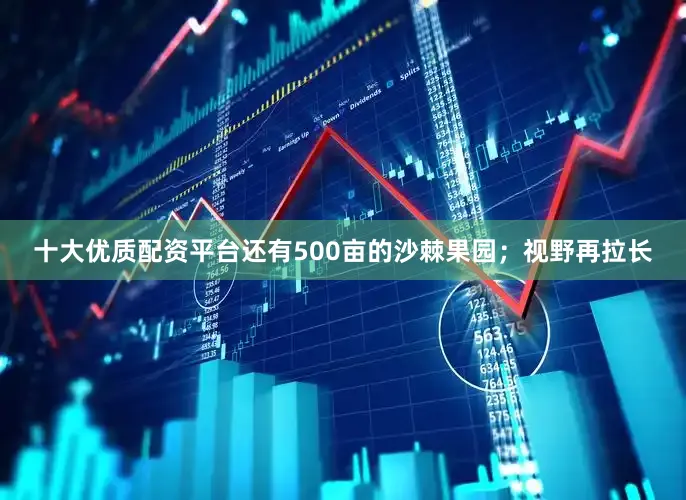 十大优质配资平台还有500亩的沙棘果园；视野再拉长